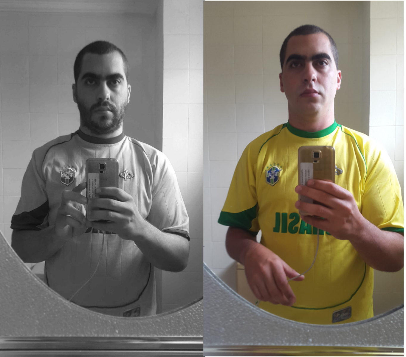 bipolaridade