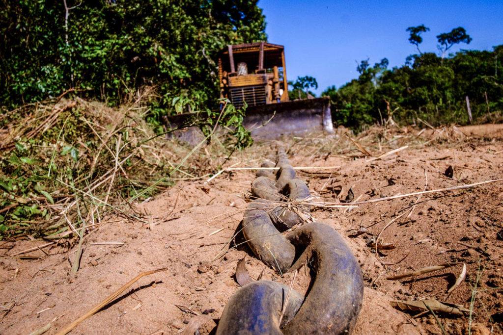 Desmatamento na Amazônia